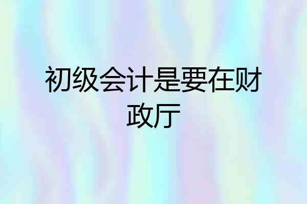 初级会计是要在财政厅