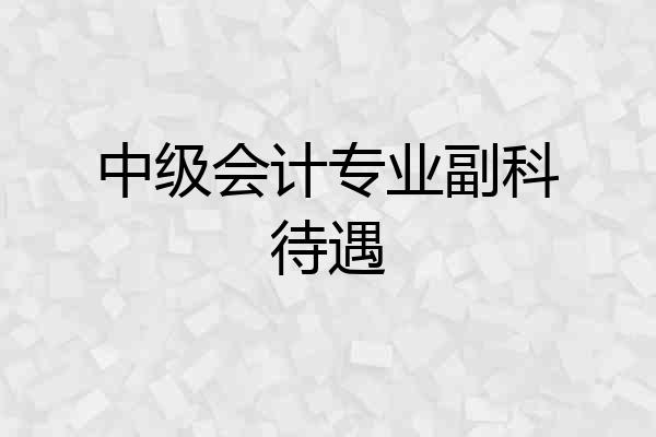 中级会计专业副科待遇