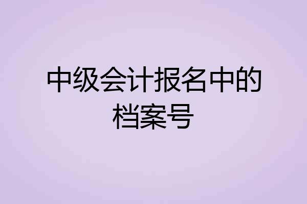 中级会计报名中的档案号