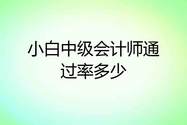 小白中级会计师通过率多少