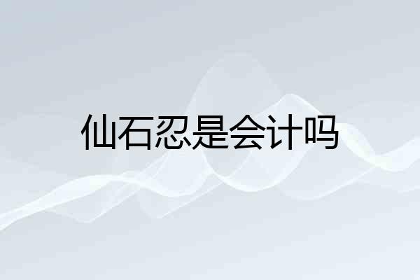 仙石忍是会计吗