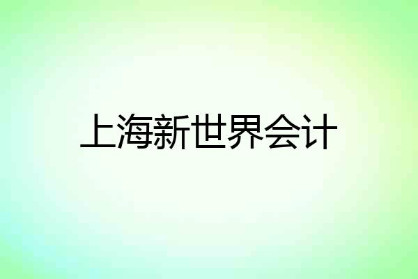 上海新世界会计
