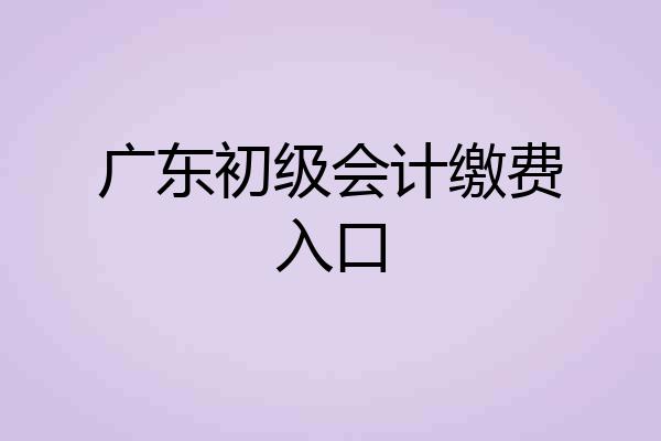 广东初级会计缴费入口