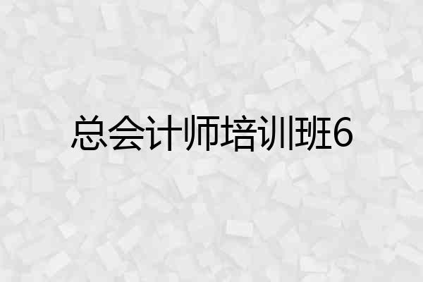总会计师培训班6