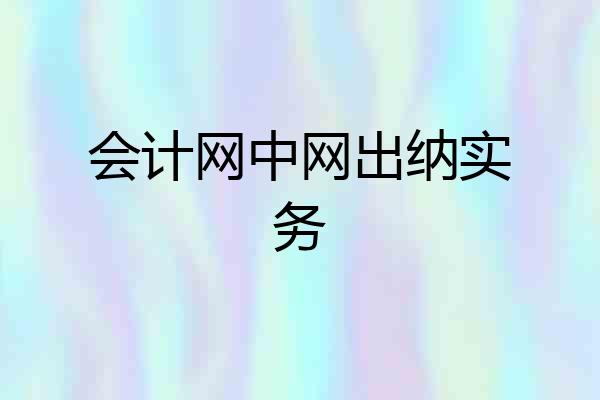 会计网中网出纳实务