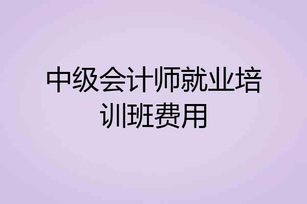 中级会计师就业培训班费用