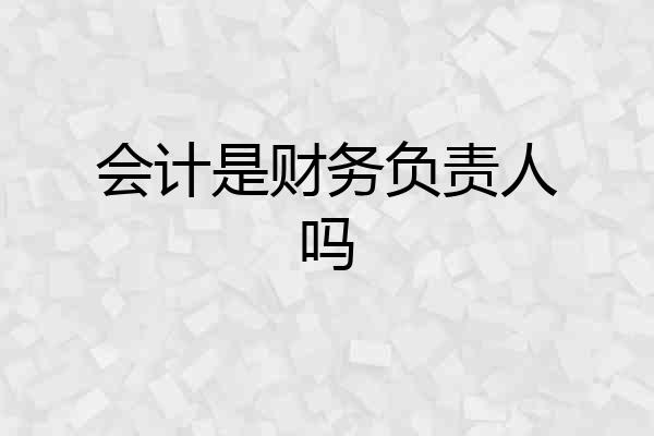 会计是财务负责人吗