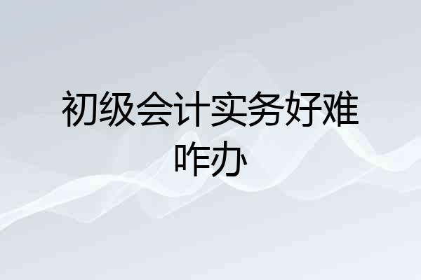 初级会计实务好难咋办