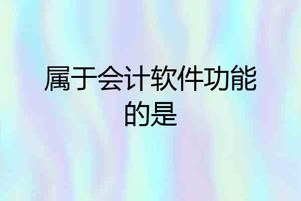 属于会计软件功能的是