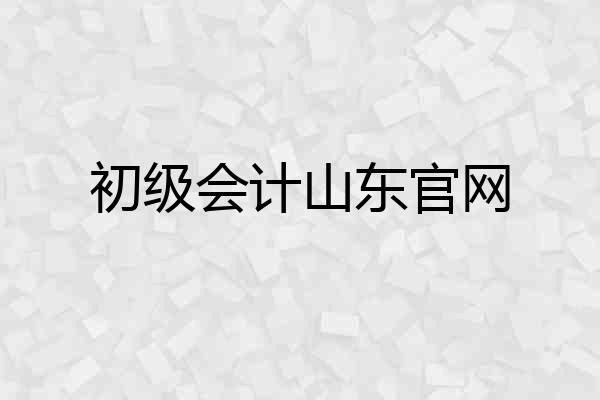 初级会计山东官网