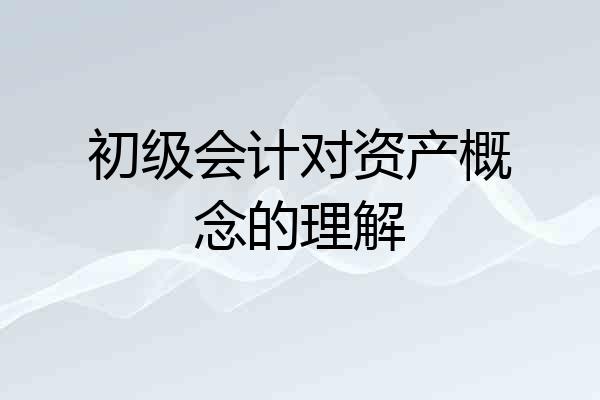初级会计对资产概念的理解