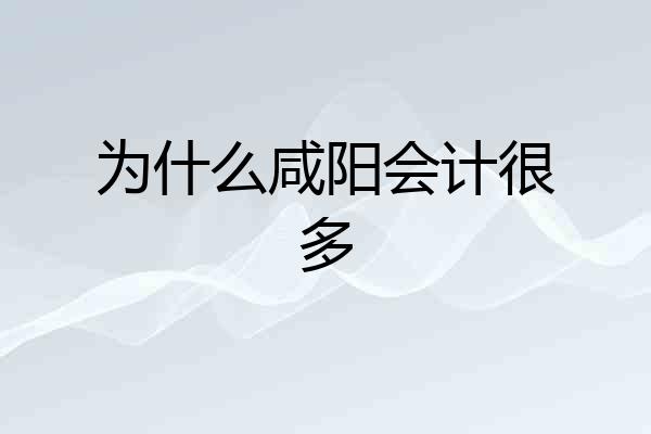 为什么咸阳会计很多