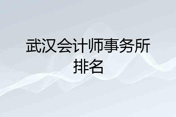 武汉会计师事务所排名