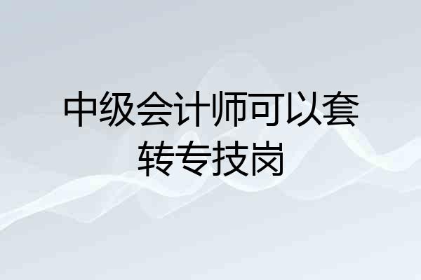 中级会计师可以套转专技岗