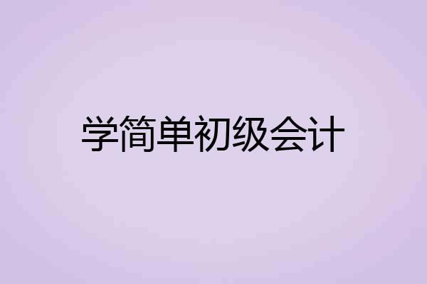 学简单初级会计