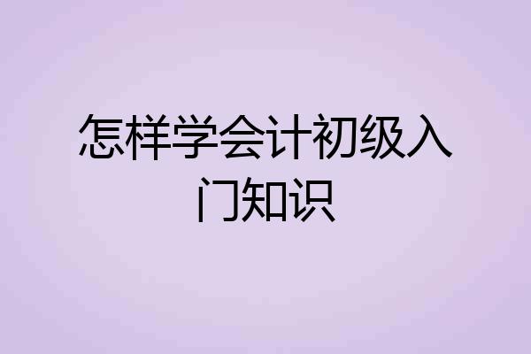怎样学会计初级入门知识