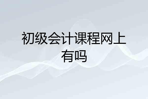 初级会计课程网上有吗