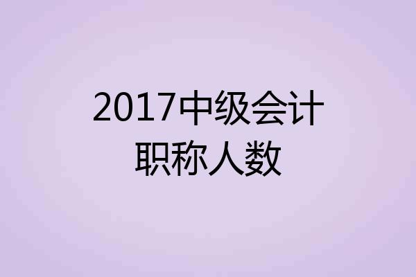 2017中级会计职称人数