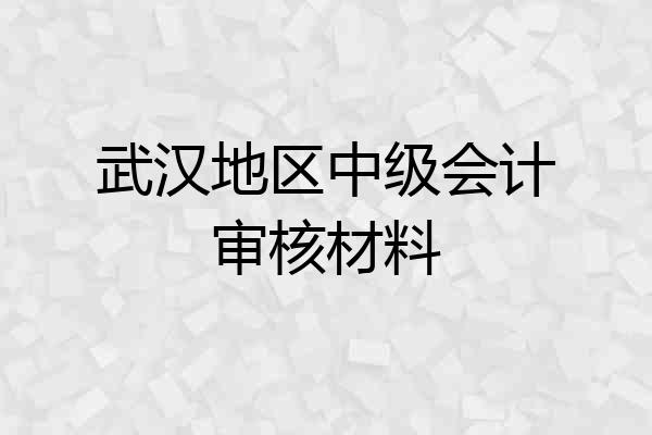 武汉地区中级会计审核材料