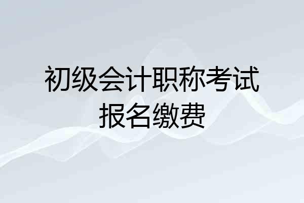 初级会计职称考试报名缴费