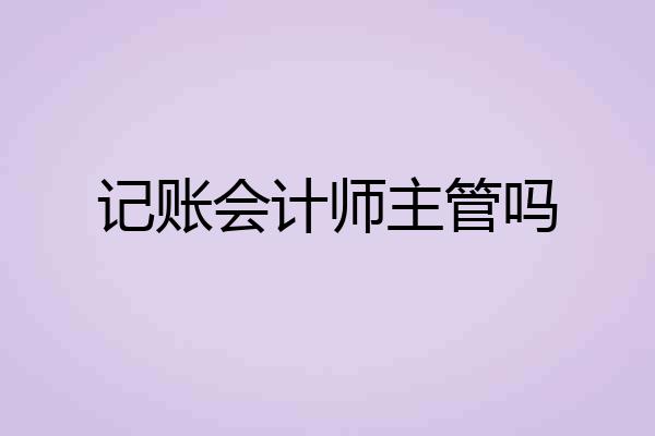记账会计师主管吗