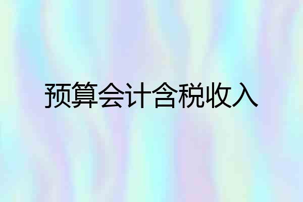 预算会计含税收入