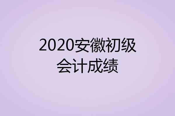 2020安徽初级会计成绩