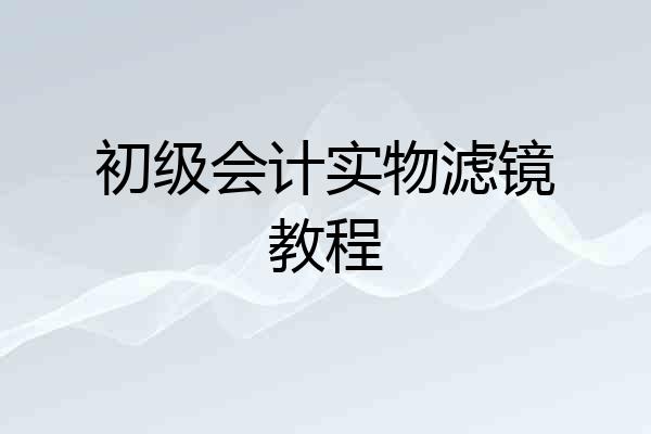 初级会计实物滤镜教程