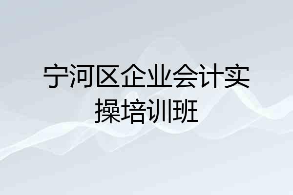 宁河区企业会计实操培训班