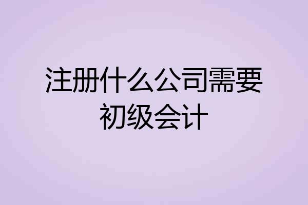 注册什么公司需要初级会计