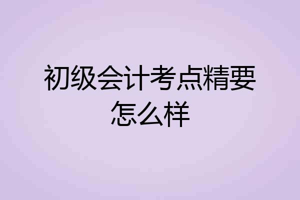 初级会计考点精要怎么样