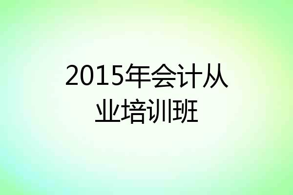 2015年会计从业培训班