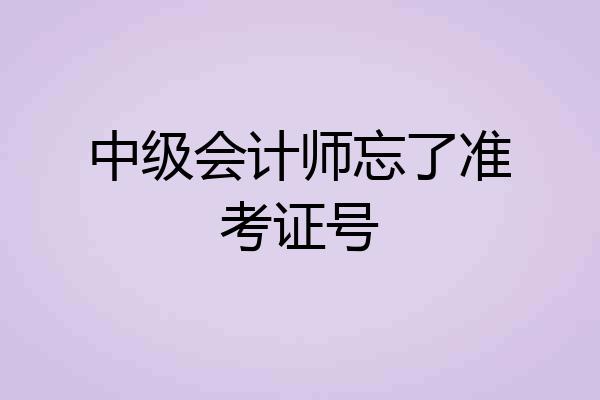 中级会计师忘了准考证号