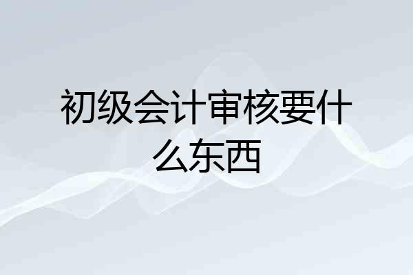 初级会计审核要什么东西