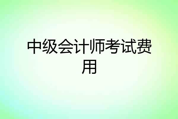 中级会计师考试费用