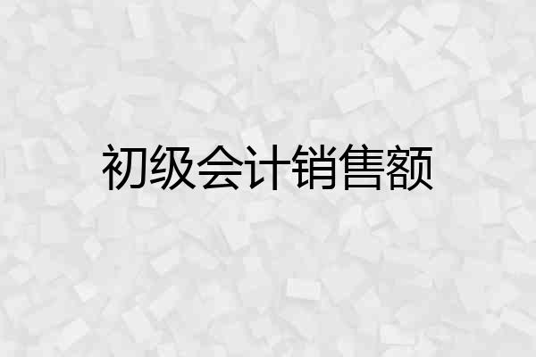 初级会计销售额