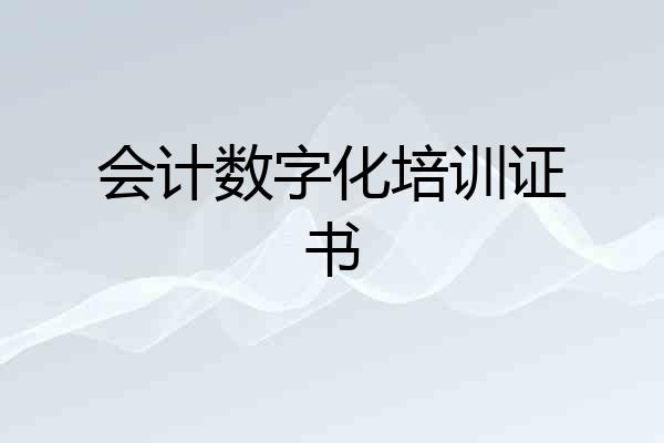 会计数字化培训证书