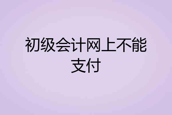 初级会计网上不能支付