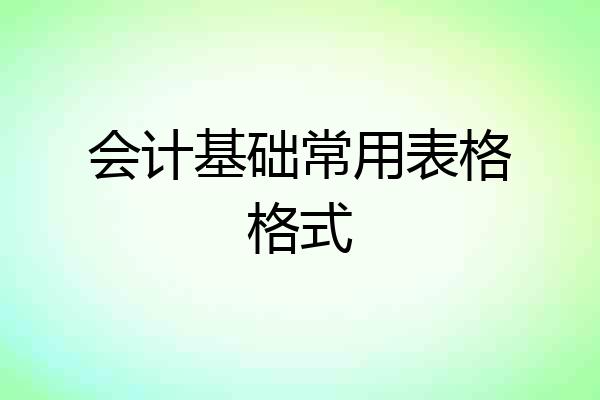 会计基础常用表格格式