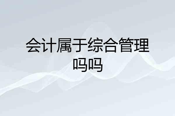会计属于综合管理吗吗