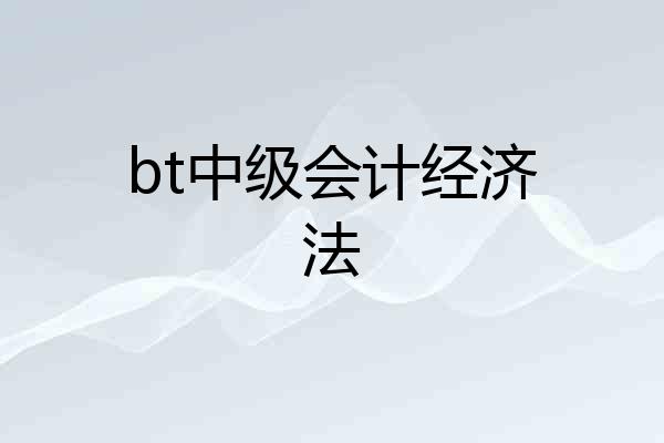bt中级会计经济法