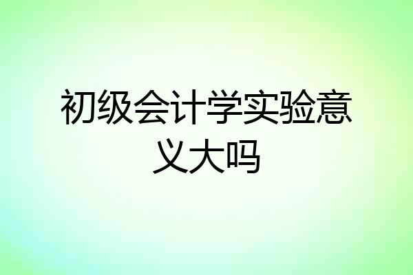 初级会计学实验意义大吗