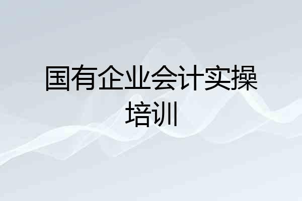 国有企业会计实操培训