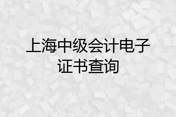 上海中级会计电子证书查询