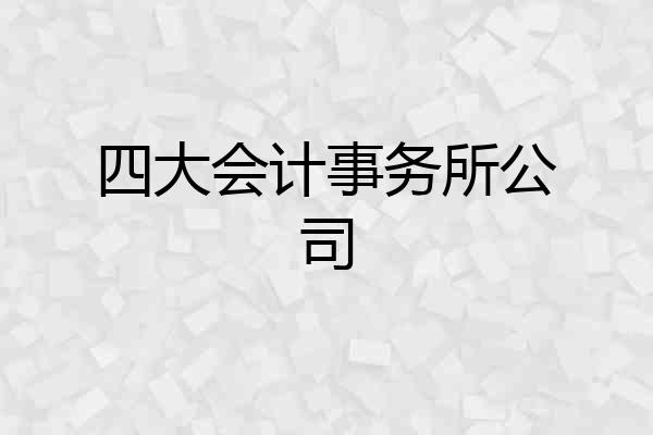 四大会计事务所公司