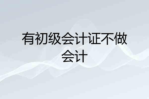 有初级会计证不做会计