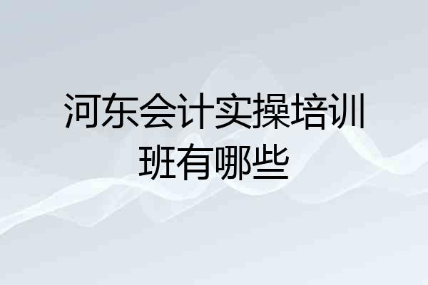 河东会计实操培训班有哪些