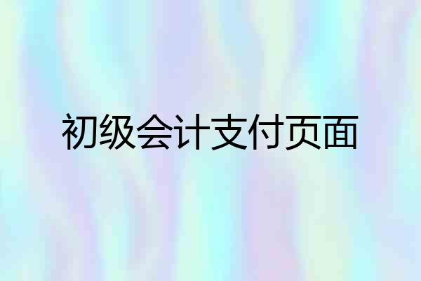 初级会计支付页面