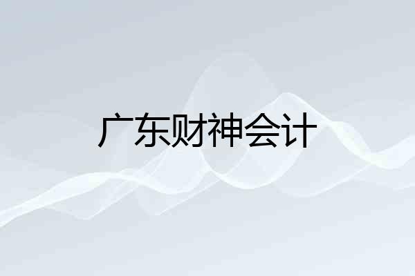 广东财神会计