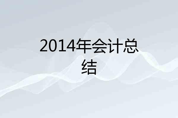 2014年会计总结